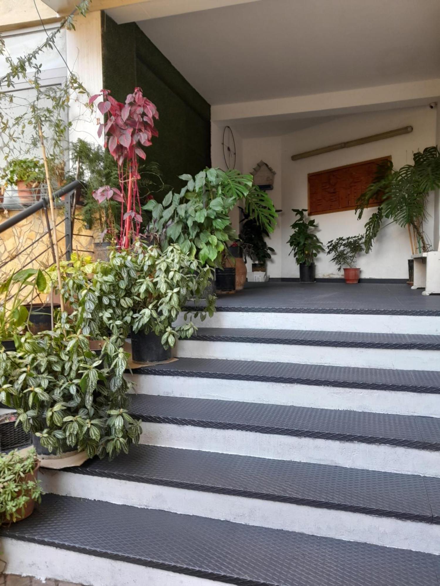 Kristi Apartments 01 Тирана Екстериор снимка